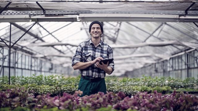 Young male garden worker with tablet Small